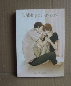 Labirynt uczuć - Kou Yoneda (18+)