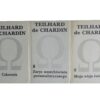 teilhard de chardin