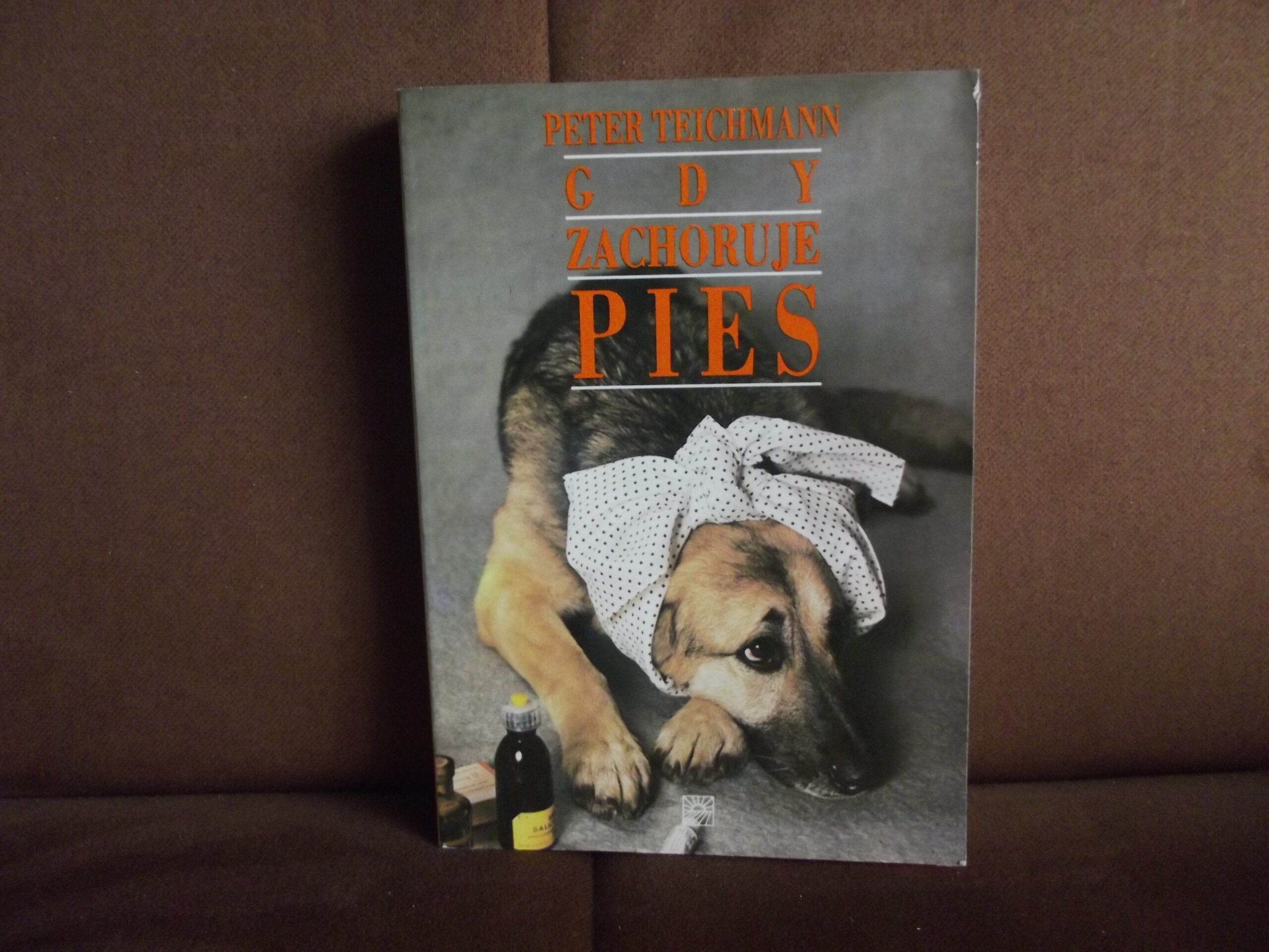 gdy zachoruje pies teichmann