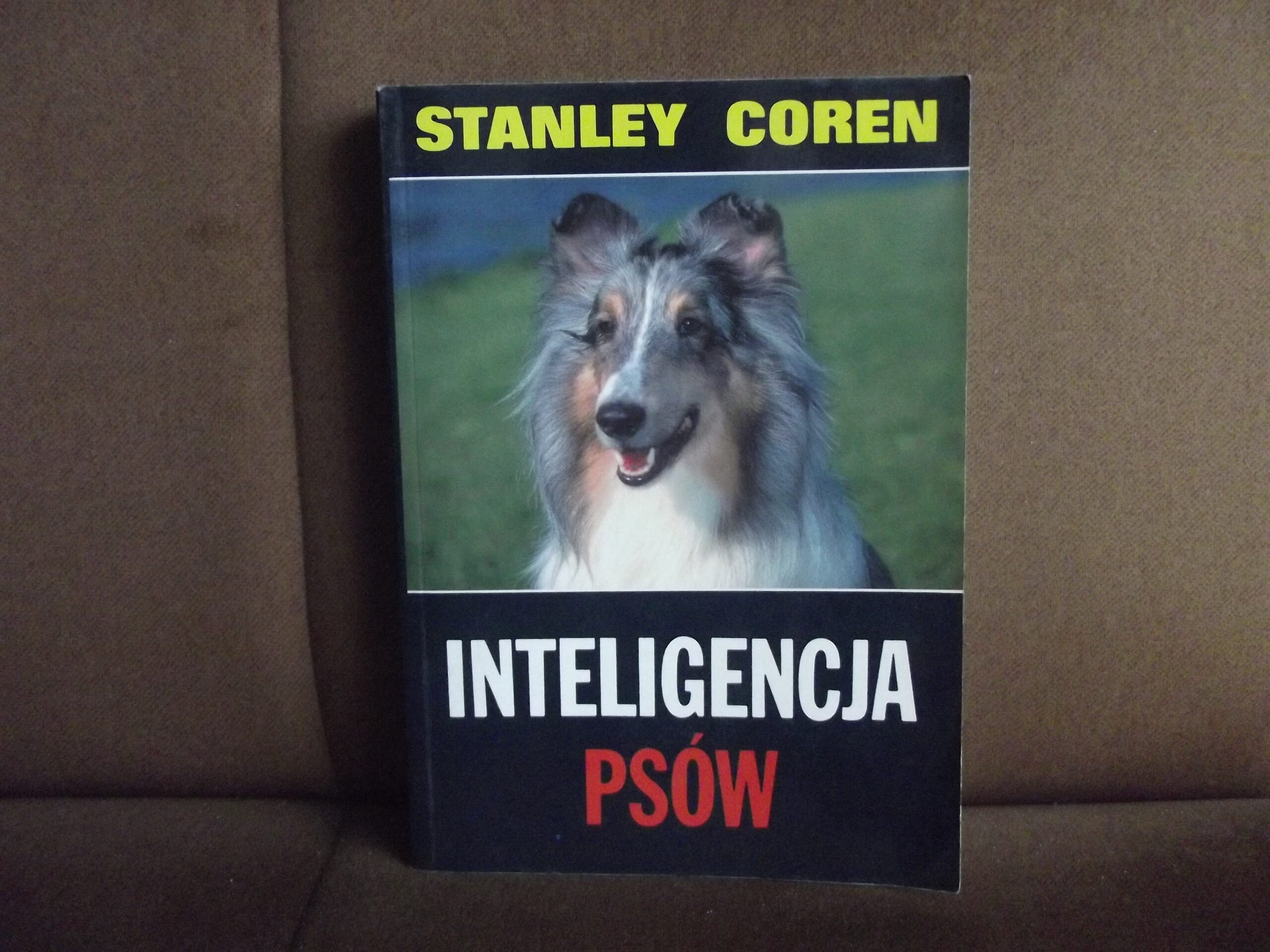 inteligencja psow coren