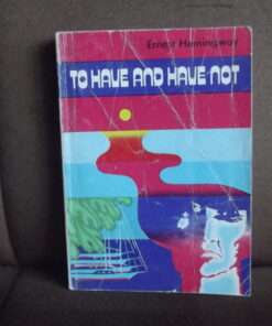 to have and have not hemingway