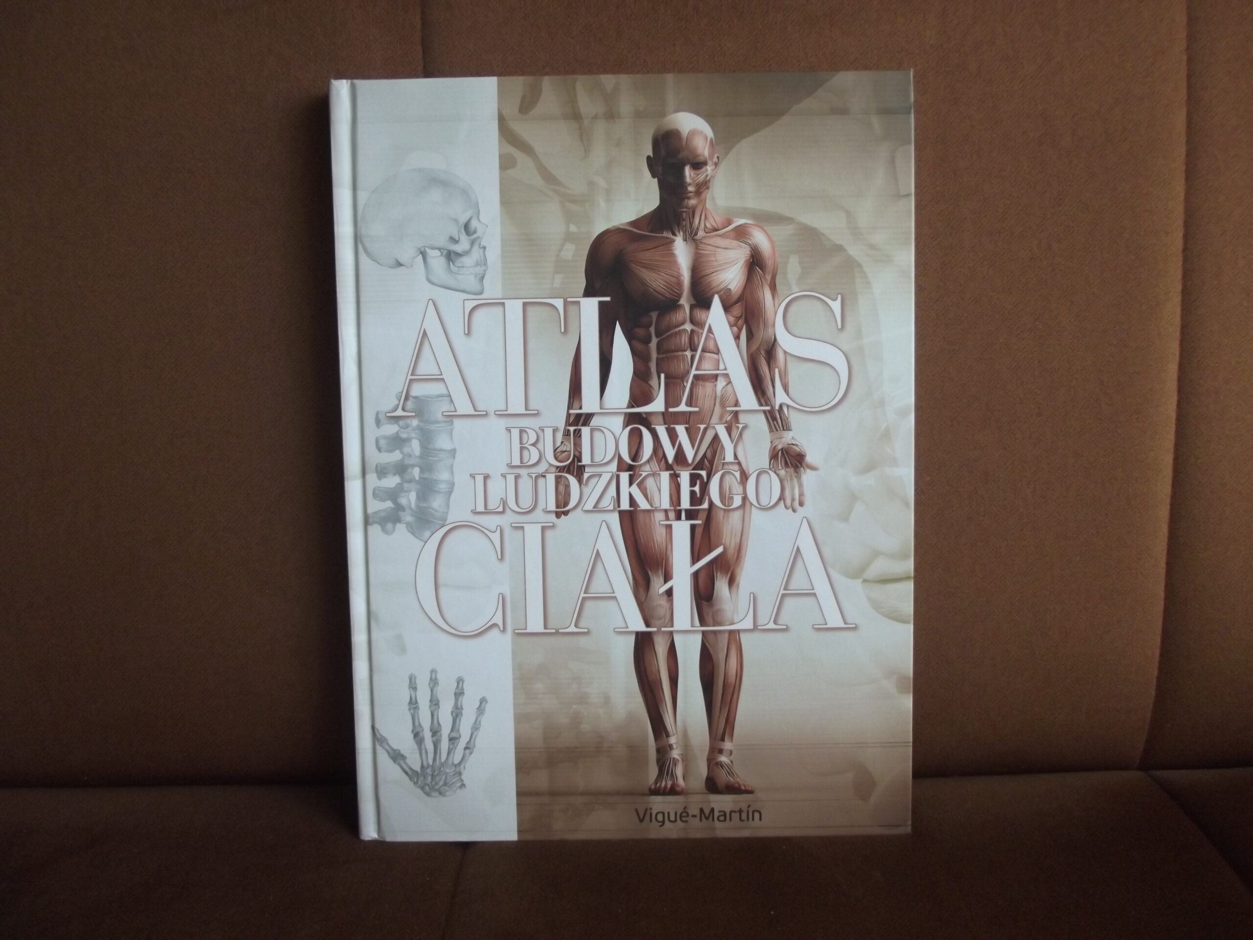 atlas budowy ludzkiego ciala vigue-martin