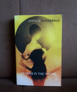 tender is the night fitzgerald