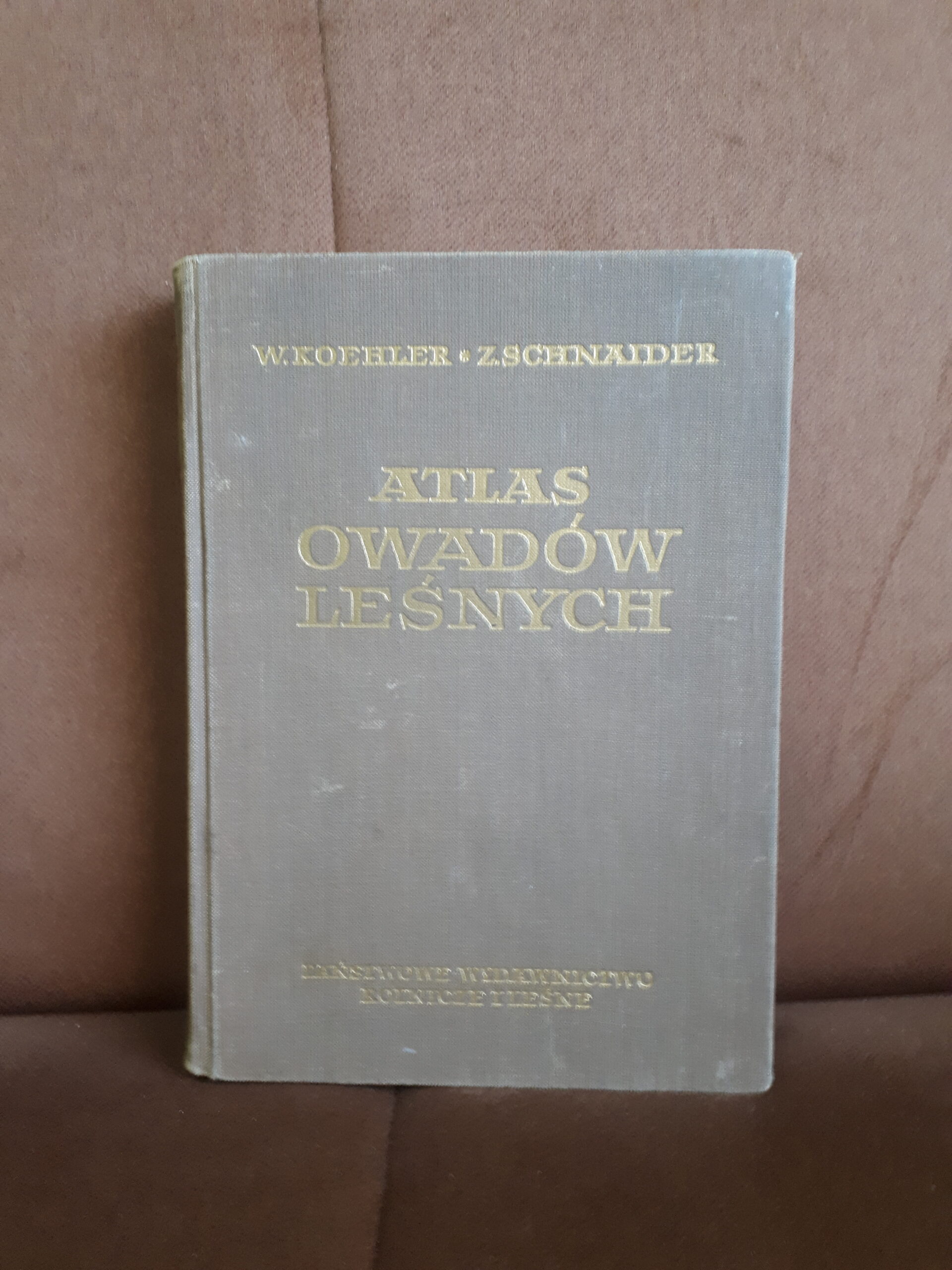 atlas owadow lesnych koehler