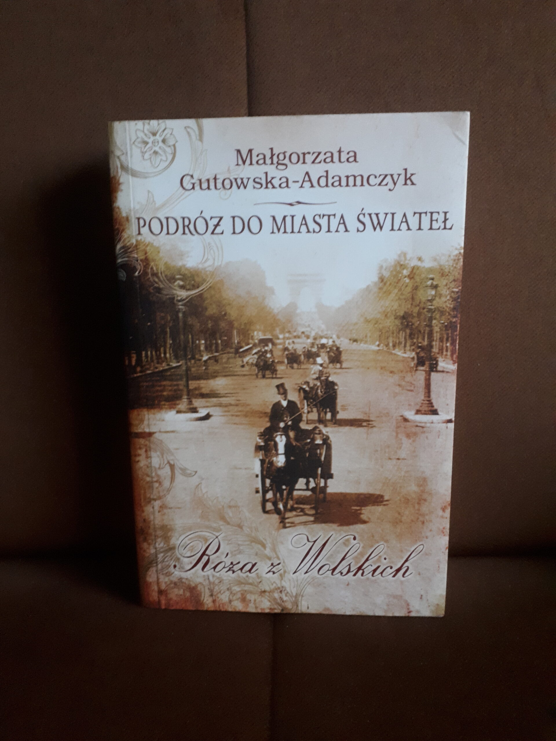 podroz do miasta swiatel roza z wolskich gutowska-adamczyk