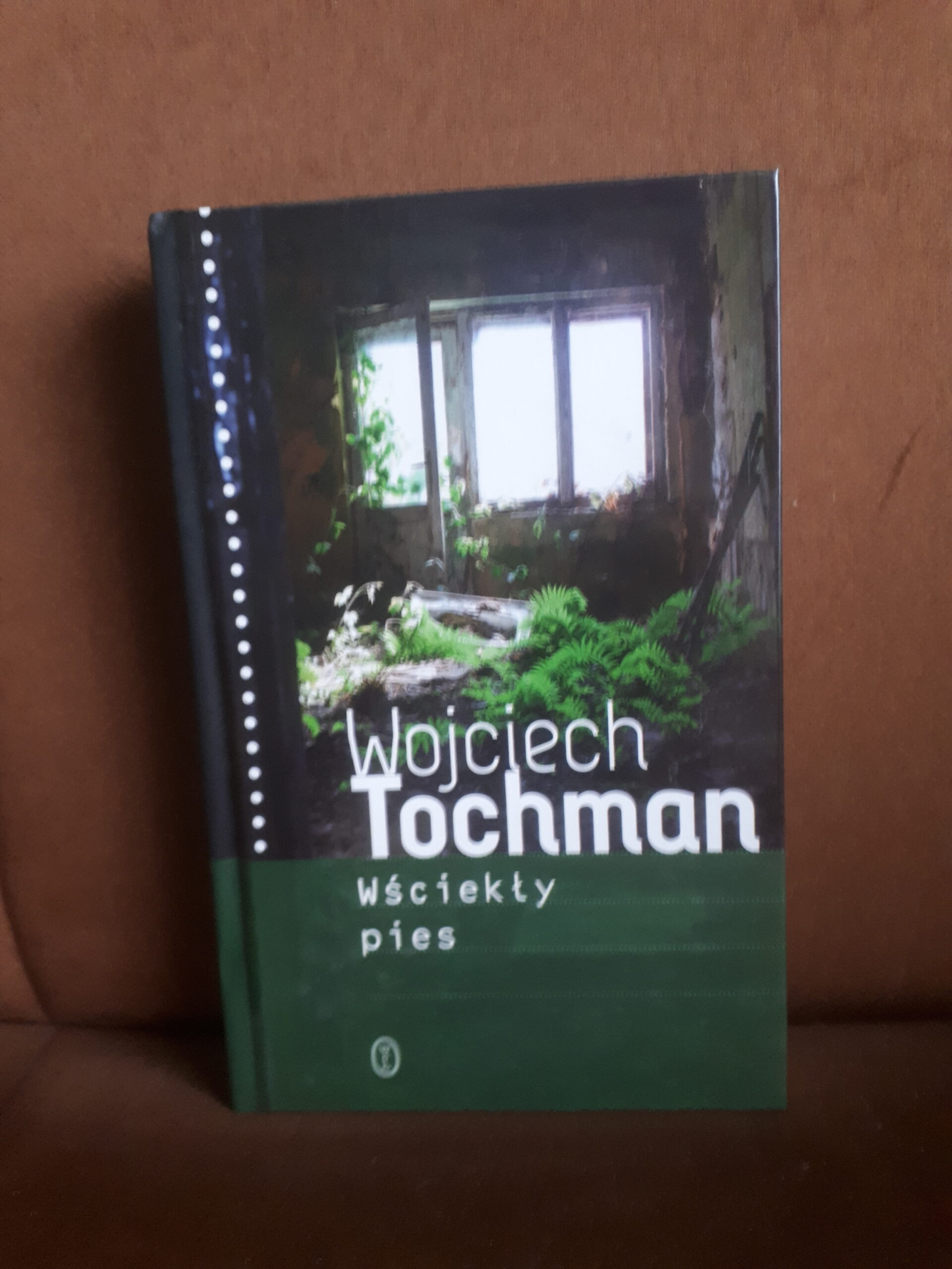wsciekly pies tochman
