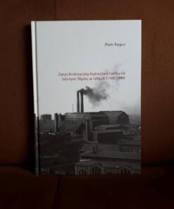 zarys historyczny hutnictwa cynku na gornym slasku w latach 1798-1980 rygus