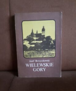 wielewskie góry borzyszkowski