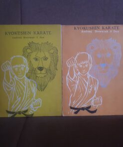 kyokushin karate drewniak