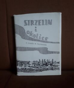 strzelin i okolice w rysunku szychowiaka
