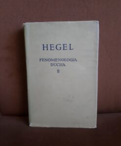 fenomenologia ducha II hegel