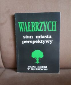 walbrzych stan miasta perspektywy rydecki
