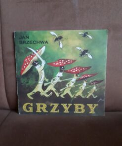 grzyby brzechwa