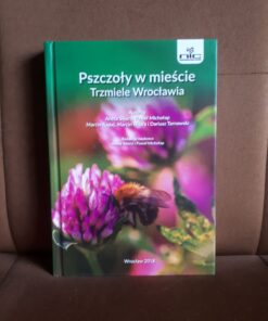 pszczoly w miescie