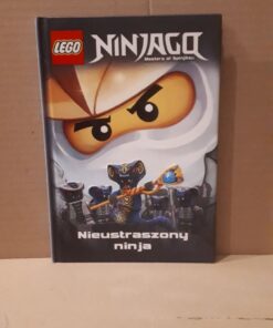 ninjago nieustraszony ninja
