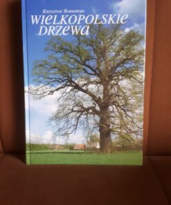 wielkopolskie drzewa
