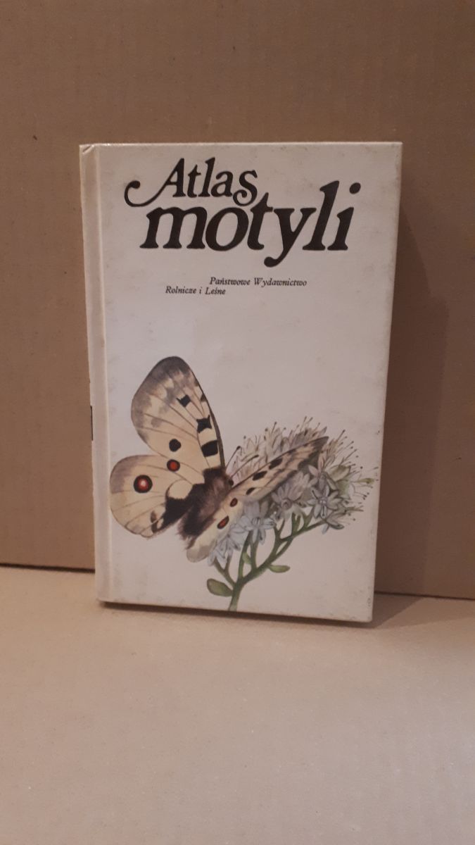 atlas motyli