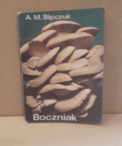 boczniak