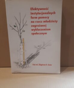 Efektywność instytucjonalnych form pomocy na rzecz młodzieży zagrożonej wykluczeniem społecznym