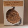 pieczecie ksiazat mazowieckich