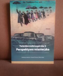 Twierdza srebrnogórska V Perspektywa miasteczka