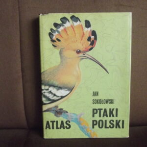 atlas ptaki polski sokolowski